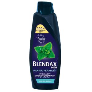 BLENDAX  - SHAMPOO MEN MENTHOL 6x500ml
