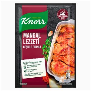 KNORR - BARBECUE TASTE 48x29gr
